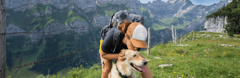 cane in montagna d'estate