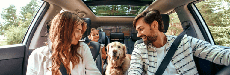 Cane in macchina: alcuni consigli utili