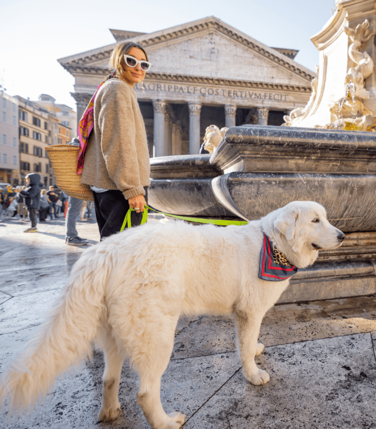 Attività e strutture Pet friendly a Roma