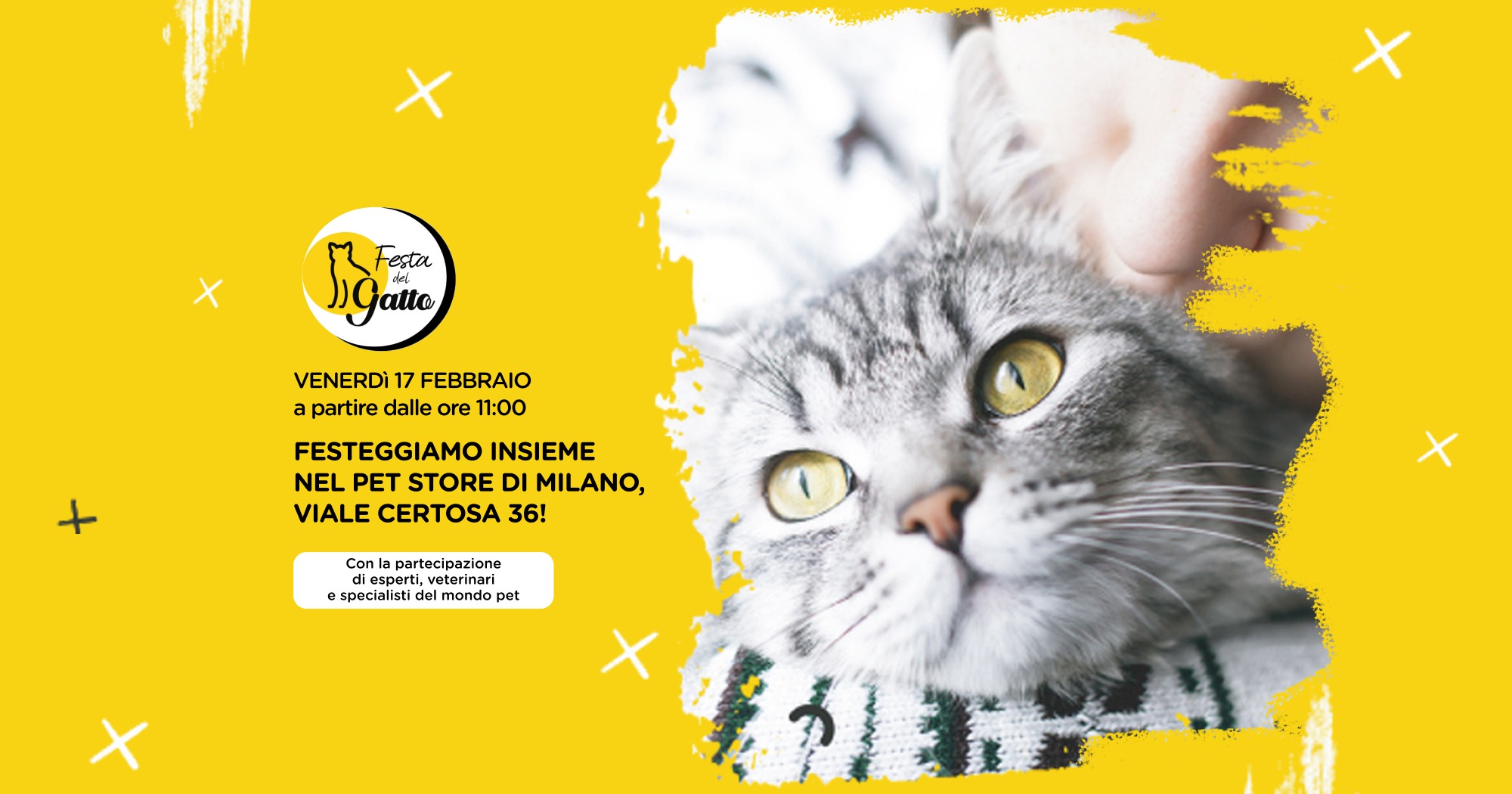 Evento Festa del Gatto nel Pet store di Milano Certosa