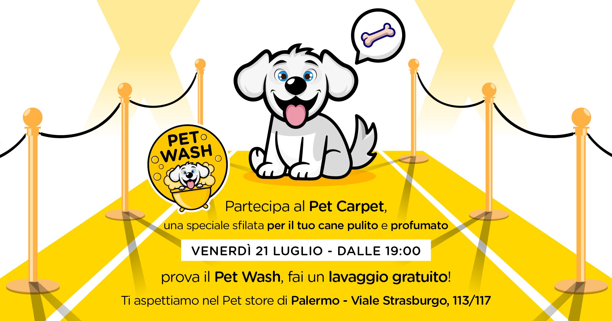 Pet Carpet: partecipa all'evento nel Pet store di Palermo