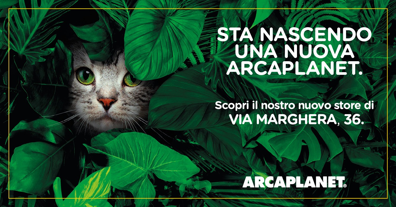 Sta nascendeo una nuova Arcaplanet a Milano in via Marghera 36