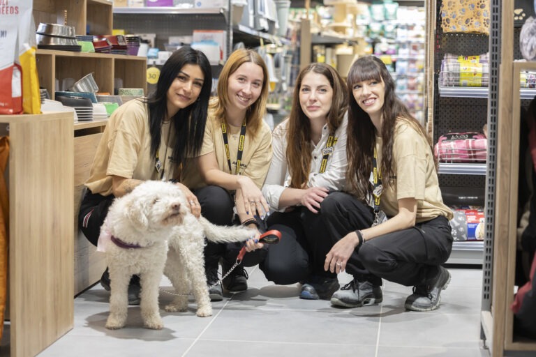 Pet-store-Napoli-Arcaplanet