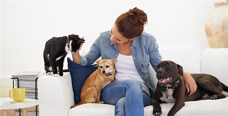 Giornata mondiale degli animali