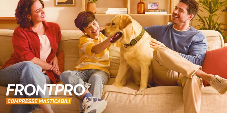 Arcaplanet Frontpro
